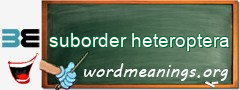 WordMeaning blackboard for suborder heteroptera